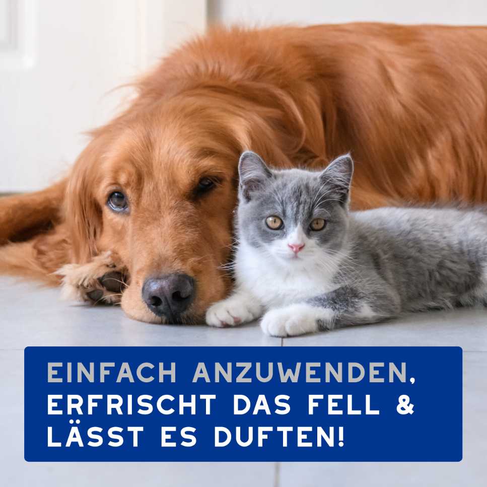 DOUXO SPA Feuchttücher lassen sich leicht anwenden, erfrischen das Fell und sorgen für angenehmen Duft