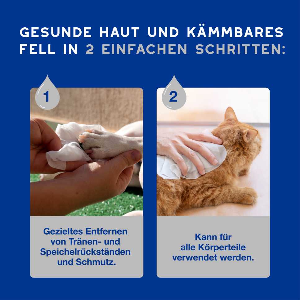SPA Feuchttücher unterstützen gesunde Haut und kämmbare Fellpflege in zwei einfachen Schritten