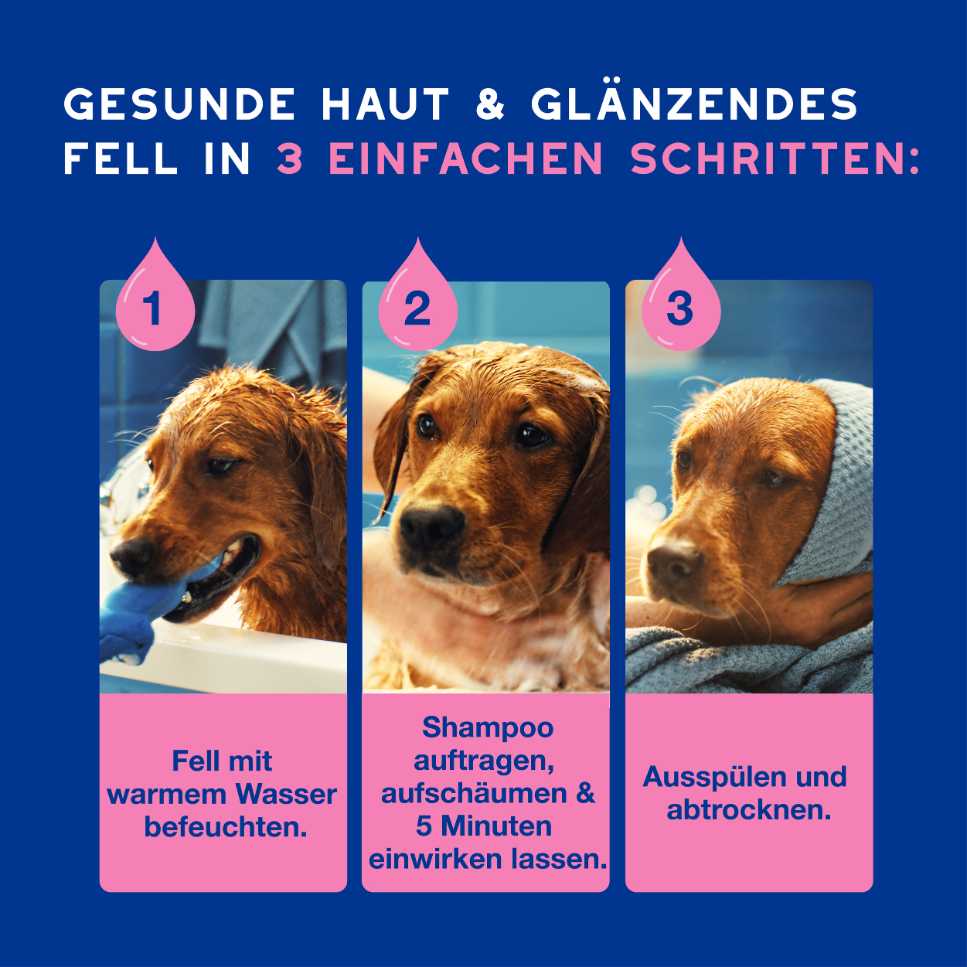 SPA Hundeshampoo Anwendung in drei Schritten für glänzendes Fell