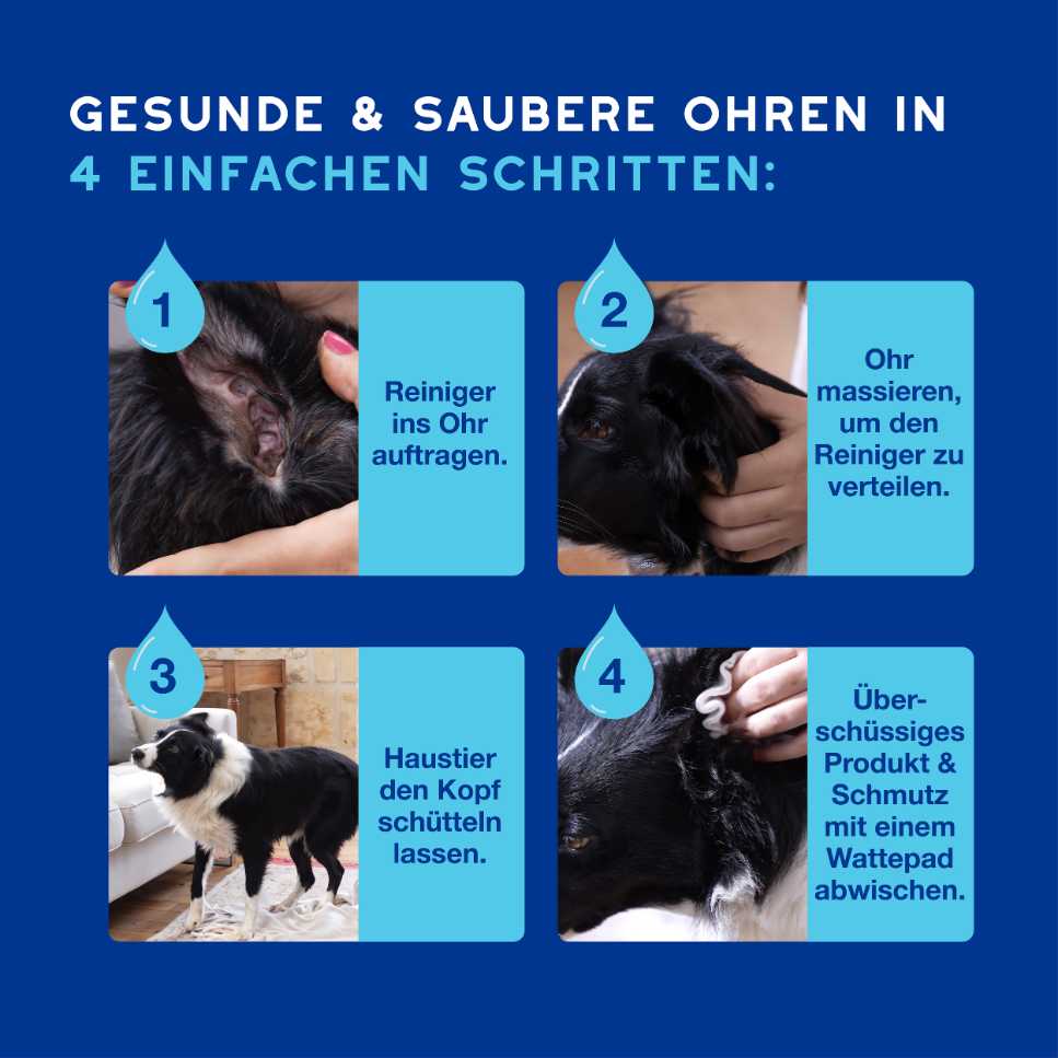 SPA Ohrenreiniger Hunde Katzen einfache Anwendung in vier Schritten erklärt