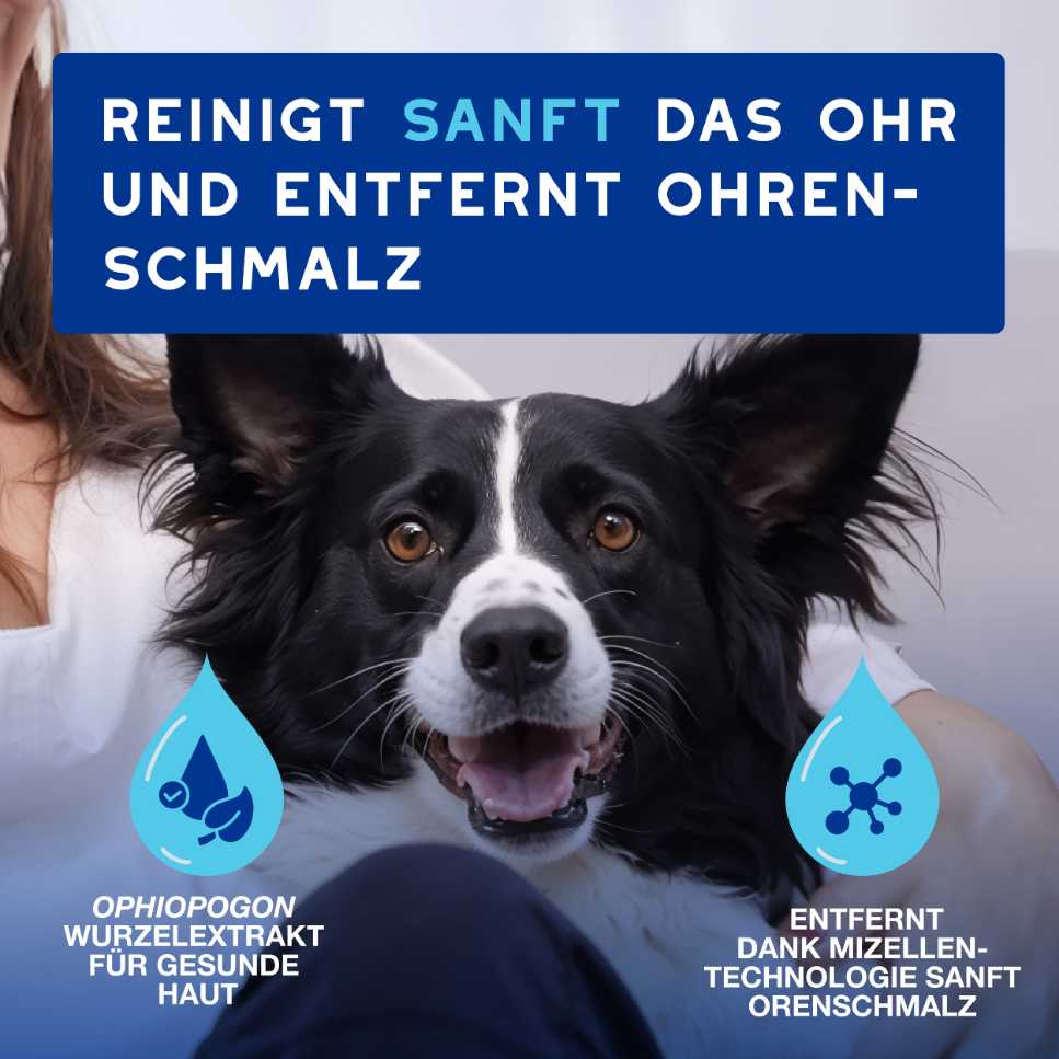 SPA Ohrenreiniger Hunde Katzen entfernt Ohrenschmalz sanft und effektiv