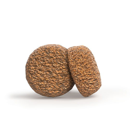 VeggieDog With Red Lentil Krokettengröße für Hunde sichtbar