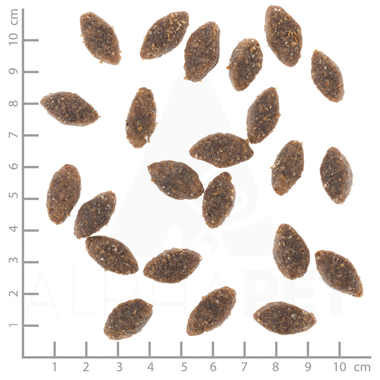 Wolfsblut Alaska Salmon Trockenfutter – Verpackungsgroesse mit Lineal