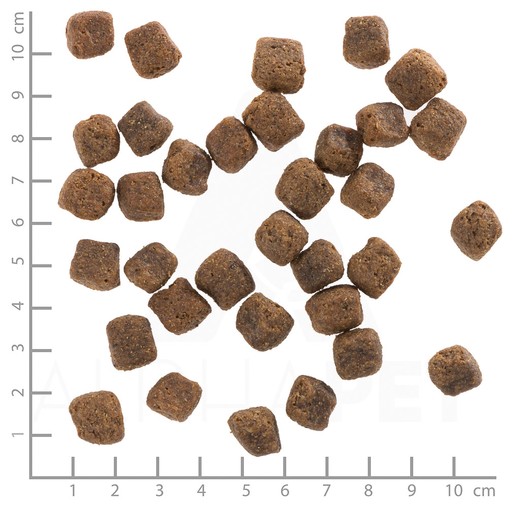 Wolfsblut Black Bird Adult Trockenfutter – Verpackungsgroesse mit Lineal