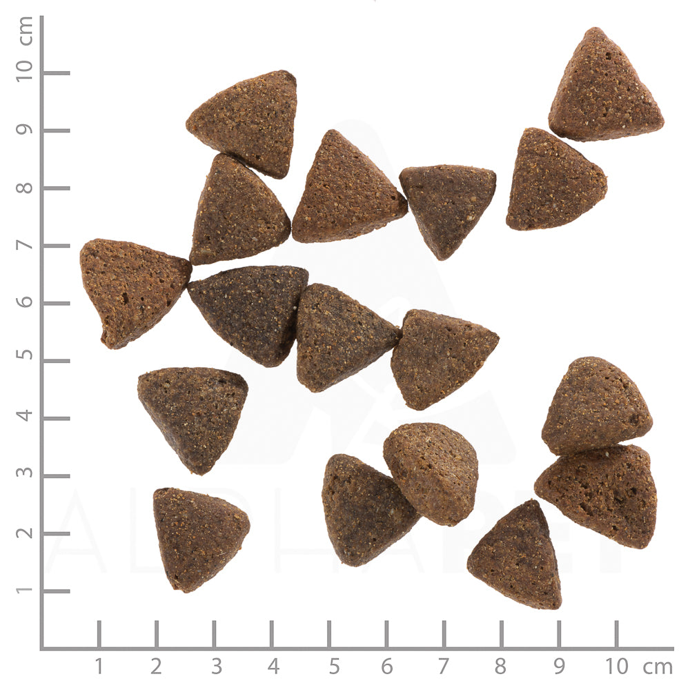 Wolfsblut Black Bird Puppy Trockenfutter – Verpackungsgroesse mit Lineal