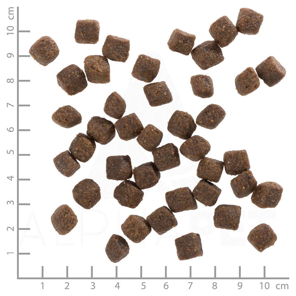 Wolfsblut Black Bird Small Breed Trockenfutter – Verpackungsgroesse mit Lineal