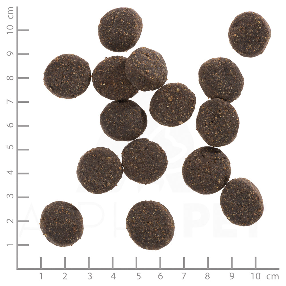 Wolfsblut Blue Mountain Trockenfutter – Verpackungsgroesse mit Lineal