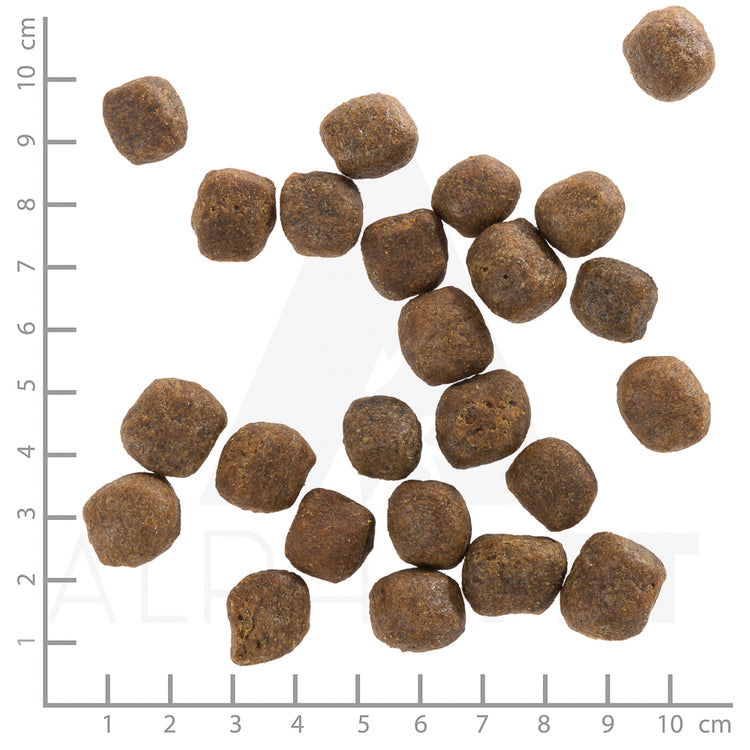 Wolfsblut Cold River Trockenfutter – Verpackungsgroesse mit Lineal