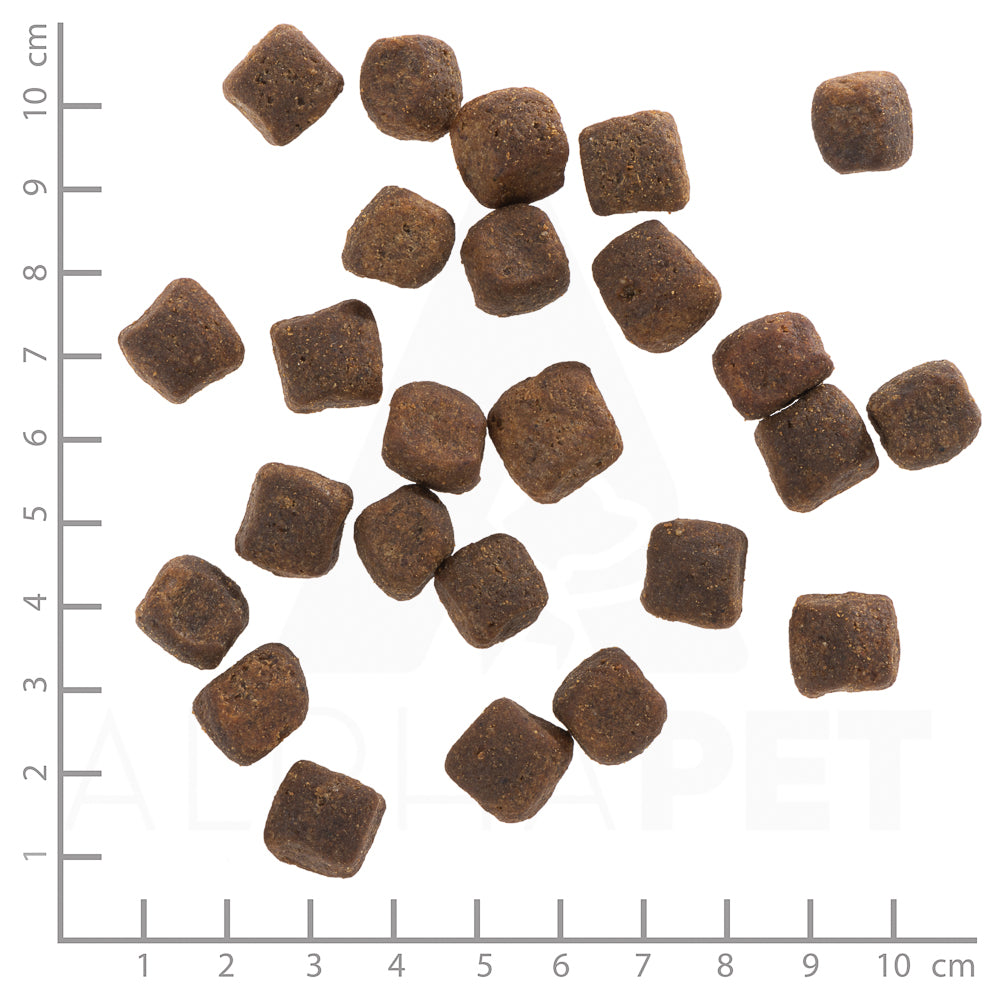 Wolfsblut Dark Forest Trockenfutter – Verpackungsgroesse mit Lineal