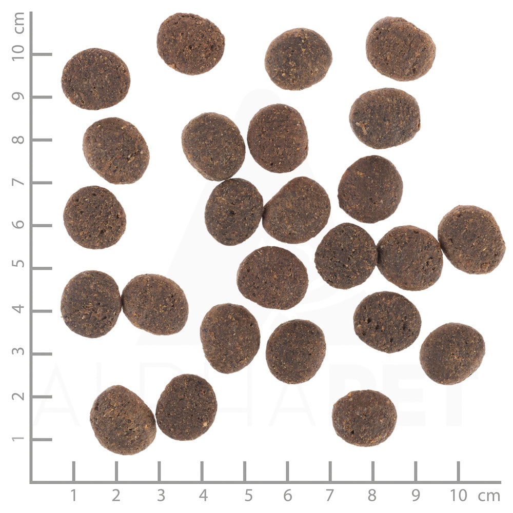 Wolfsblut VetLine Skin & Coat Trockenfutter – Verpackungsgroesse mit Lineal