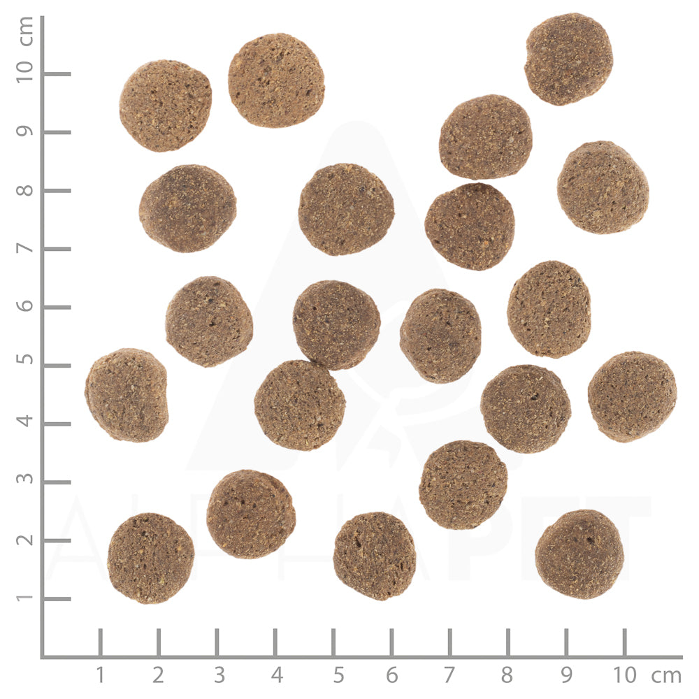 Wolfsblut VetLine Weight Management Trockenfutter – Verpackungsgroesse mit Lineal