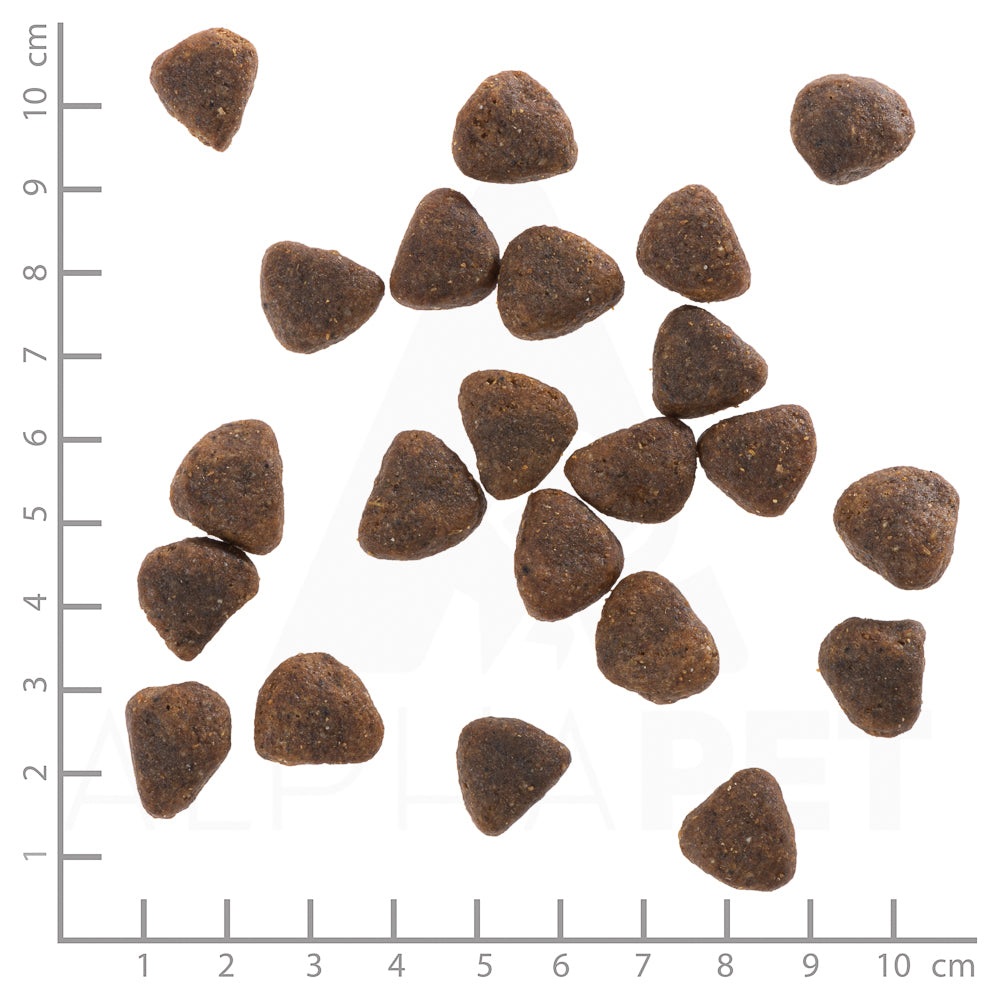 Wolfsblut Wide Plain Trockenfutter – Verpackungsgroesse mit Lineal