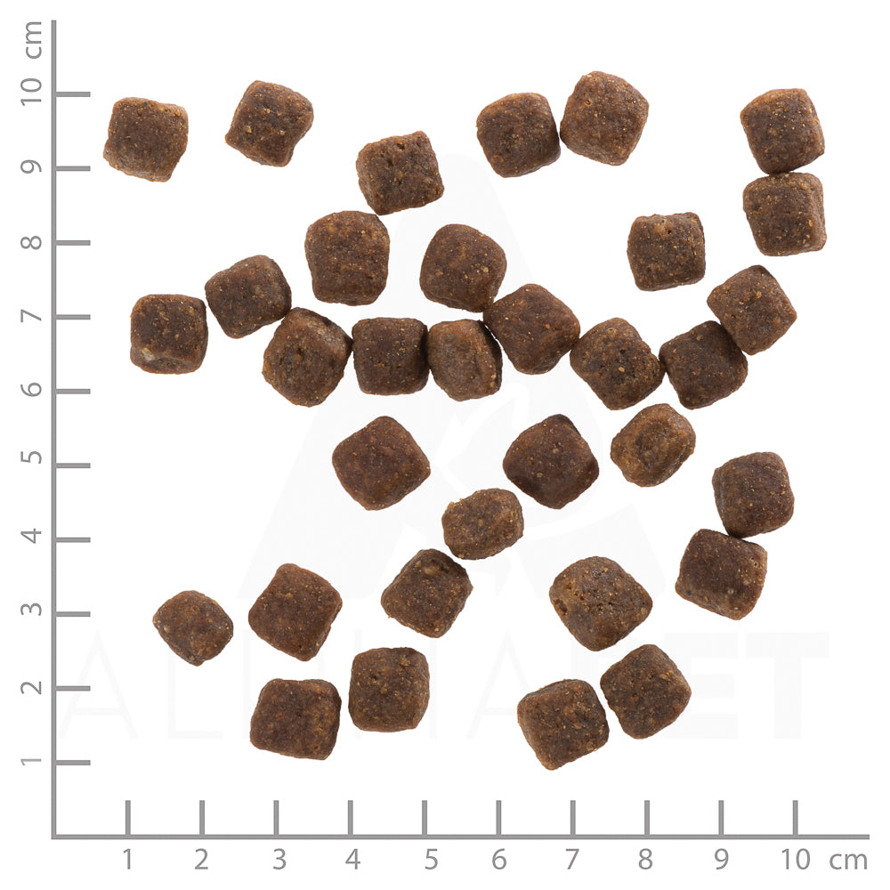 Wolfsblut Wild Duck Puppy Trockenfutter – Verpackungsgroesse mit Lineal