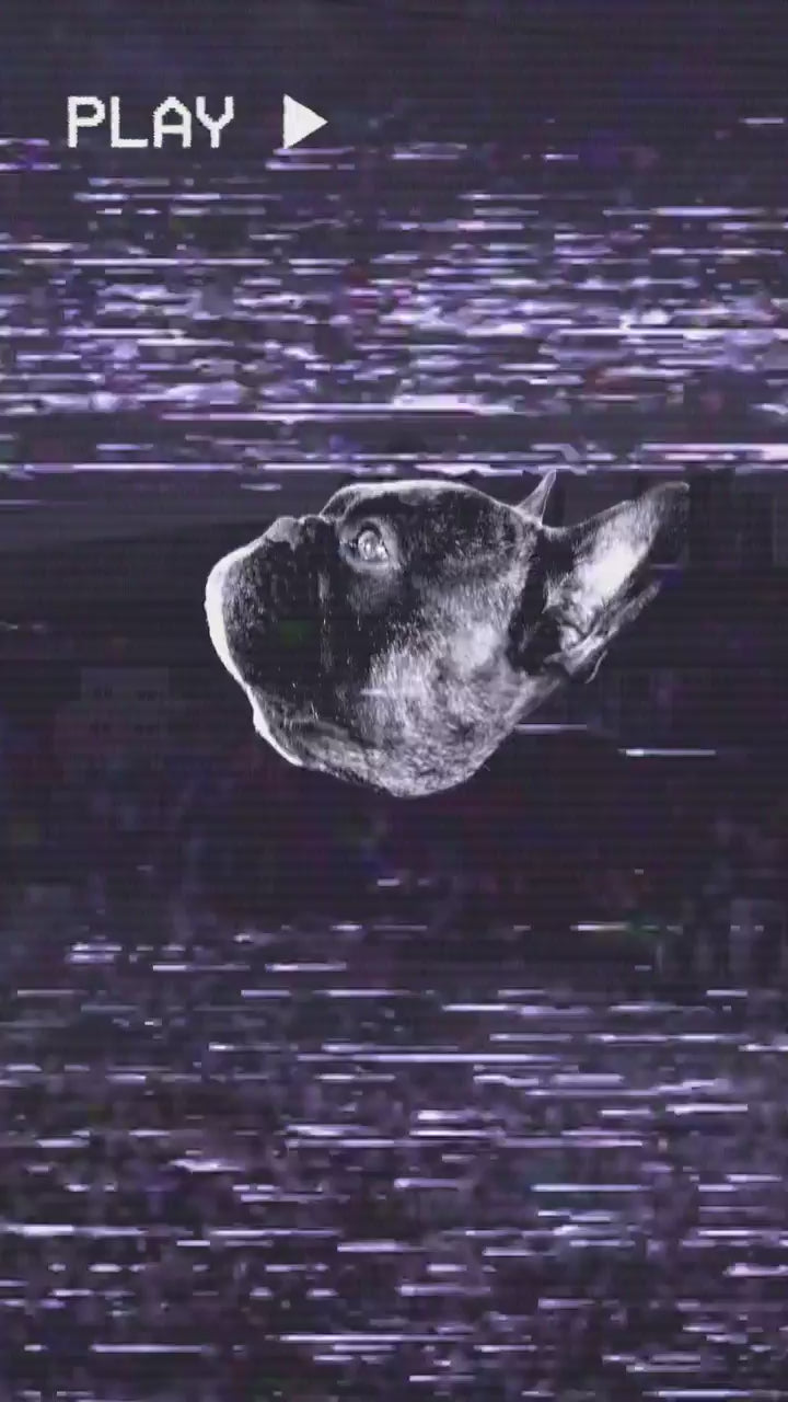 CamouflageHundepullover