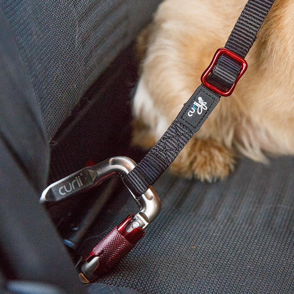 FRIEDRISCHS Hundegurt fürs Auto - Mit extra Rückdämpfer - Sicherheitsg –