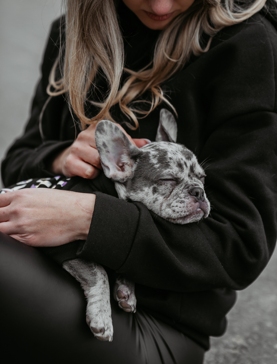 Anti Social Puppy Club ® Hoodie