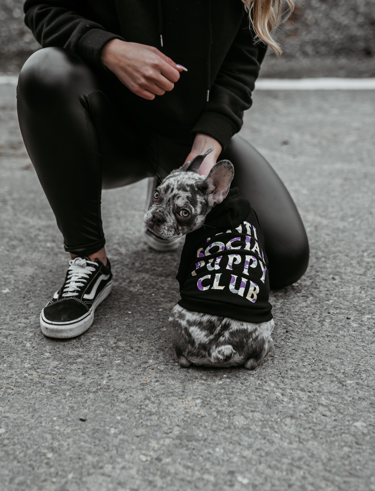 Anti Social Puppy Club ® Hoodie