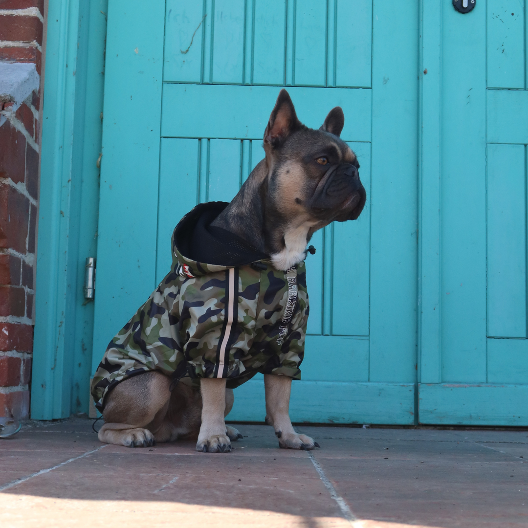 Regenjacke fur Hunde Bathing Ape Hundejacke Wasserdicht Camouflage Dogs Supreme