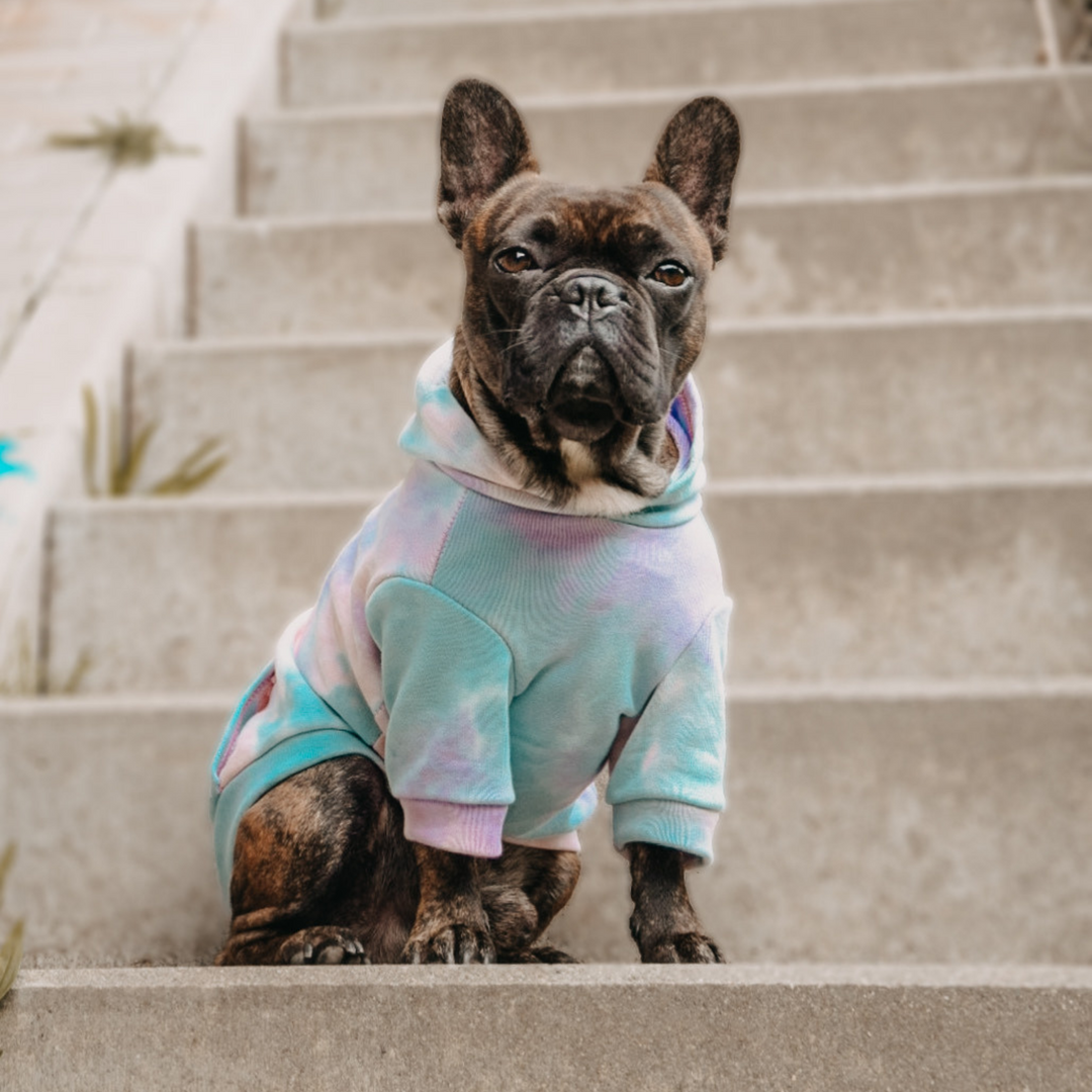 Batik Hundepullover