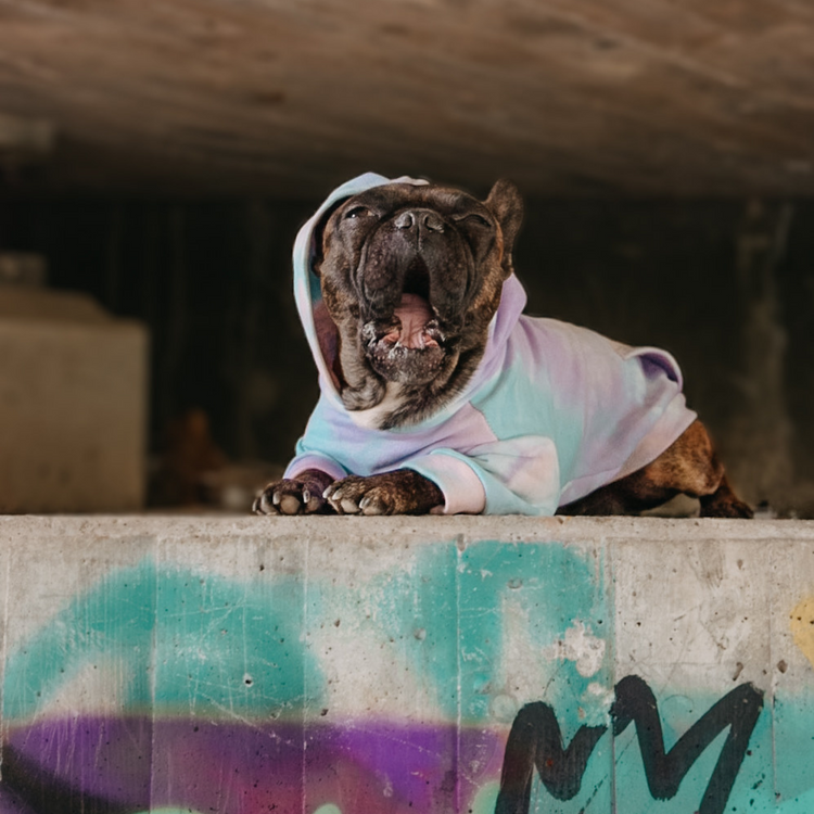 Batik Hundepullover