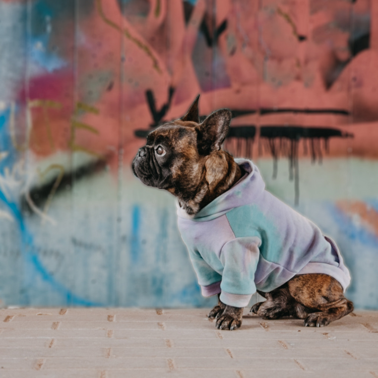 Batik Hundepullover
