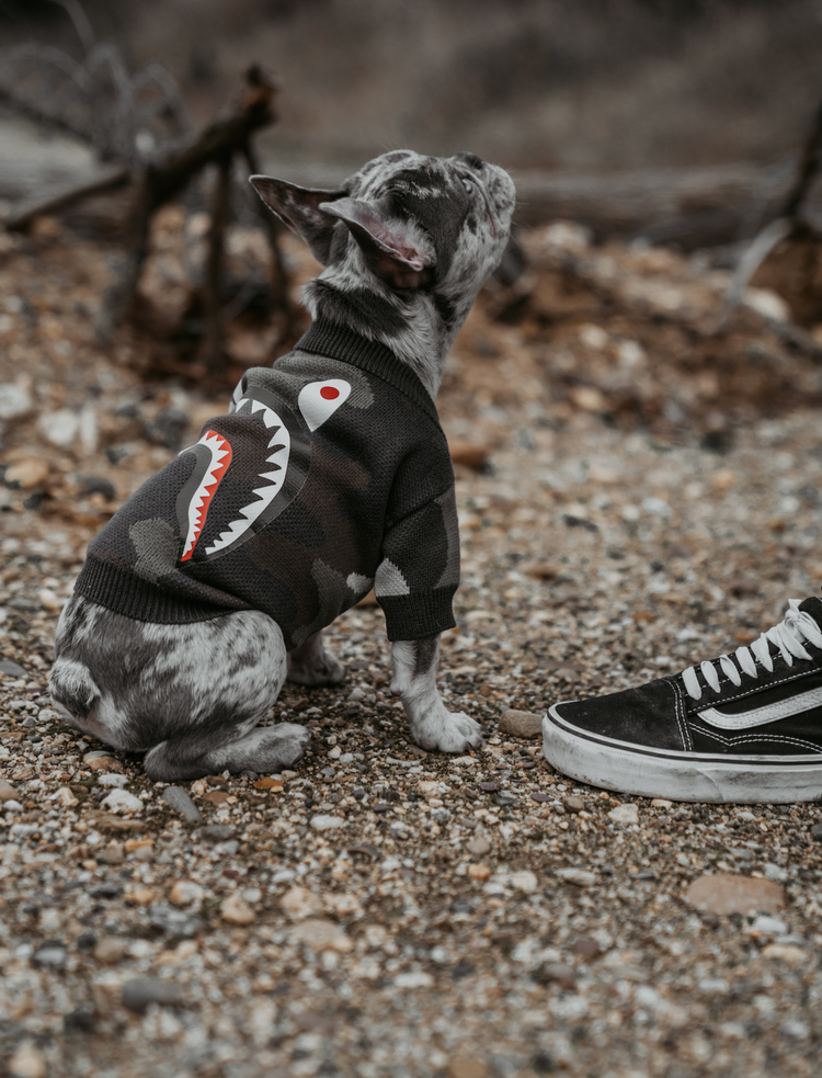 CamouflageHundepullover