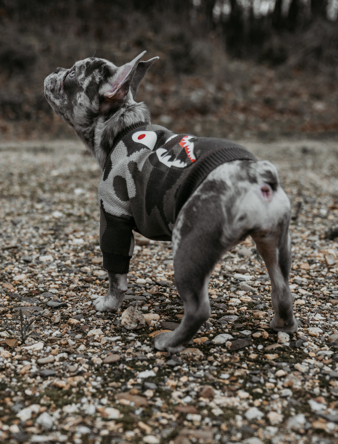 CamouflageHundepullover