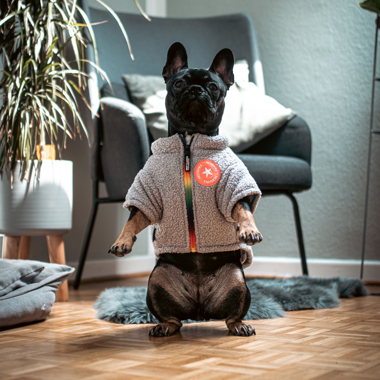 Constar Fleecejacke für Hunde