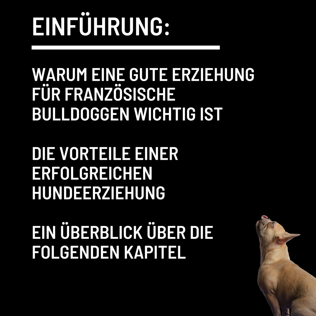 Einführung: Warum eine gute Erziehung für Französische Bulldoggen wichtig ist  Die Vorteile einer erfolgreichen Hundeerziehung  Ein Überblick über die folgenden Kapitel