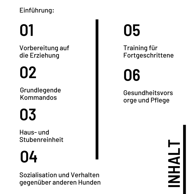 Einführung: Warum eine gute Erziehung für Französische Bulldoggen wichtig ist  Die Vorteile einer erfolgreichen Hundeerziehung  Ein Überblick über die folgenden Kapitel