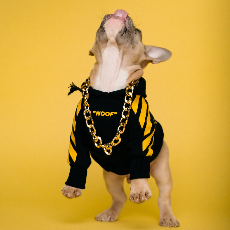 Hundepullover Woof White ™