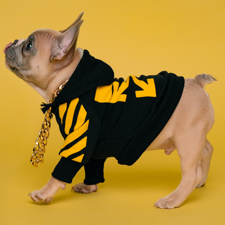 Hundepullover Woof White ™
