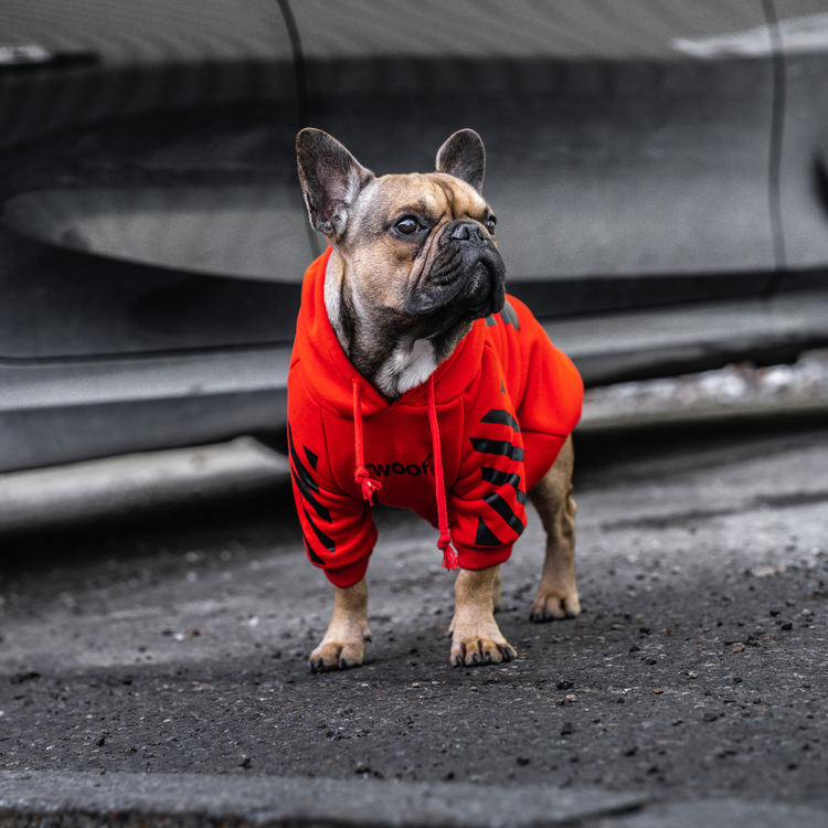 Hundepullover Woof White ™