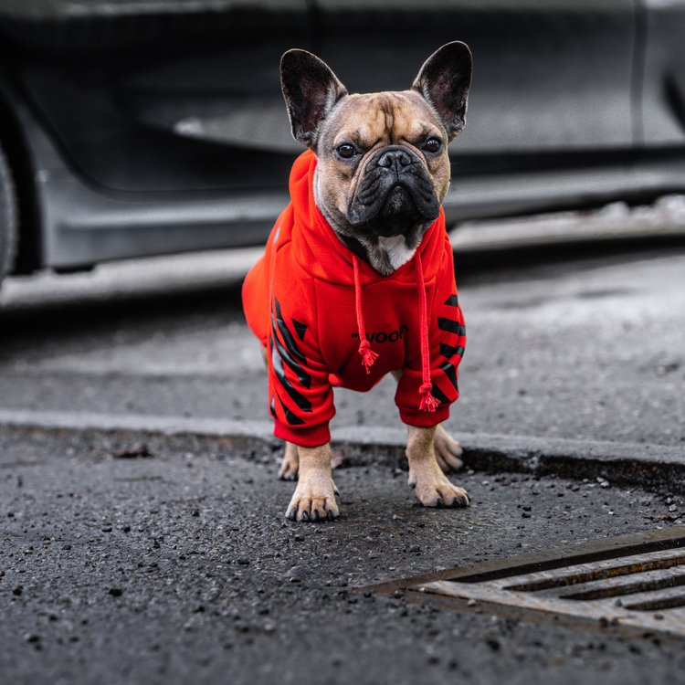 Hundepullover Woof White ™