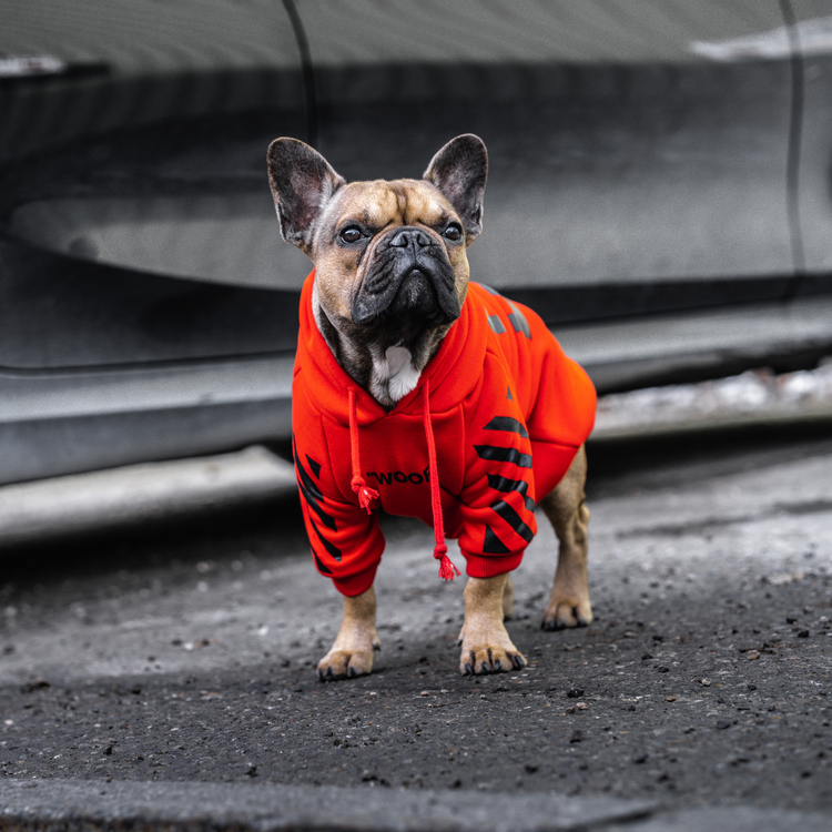 Hundepullover Woof White ™