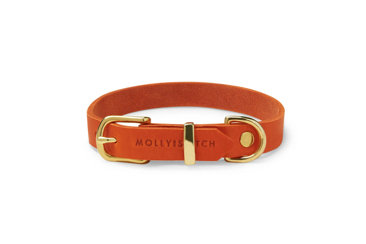 Luxuriöses handgefertigtes Premium Leder Hundehalsband in Mango-Farbe von Dogs Supreme