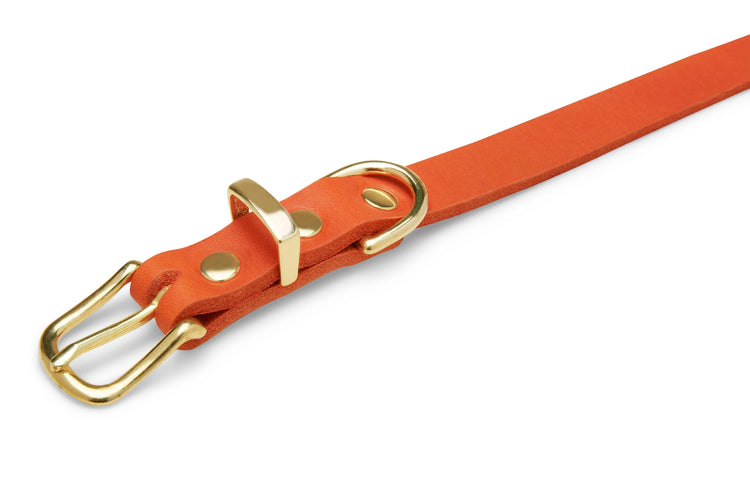Luxuriöses handgefertigtes Premium Leder Hundehalsband in Mango-Farbe von Dogs Supreme