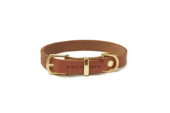 Premium Leder Hundehalsband