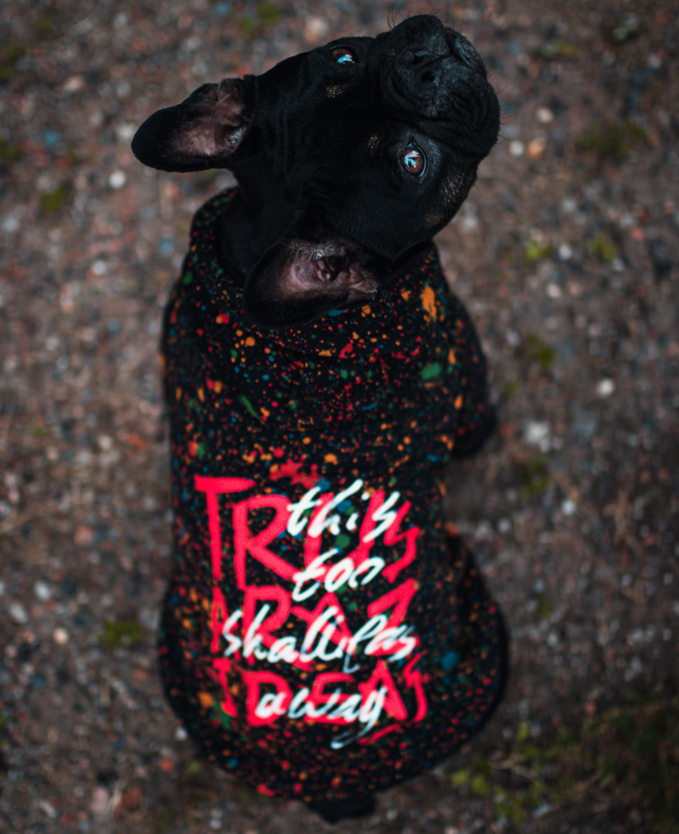 Splash Hundepullover_schwarz