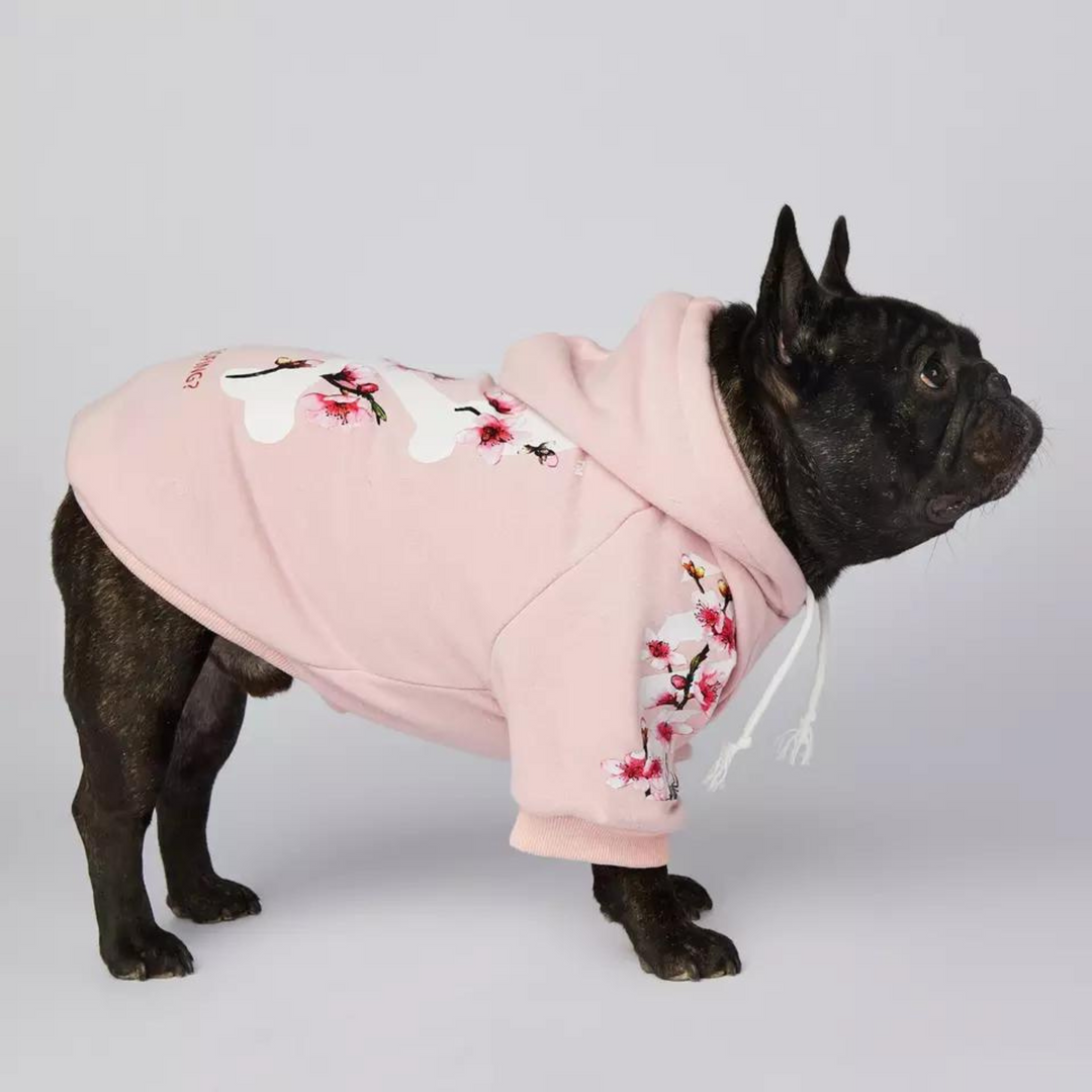 woof-hoodie_dogs-supreme_hundepullover_schwarz_drei
