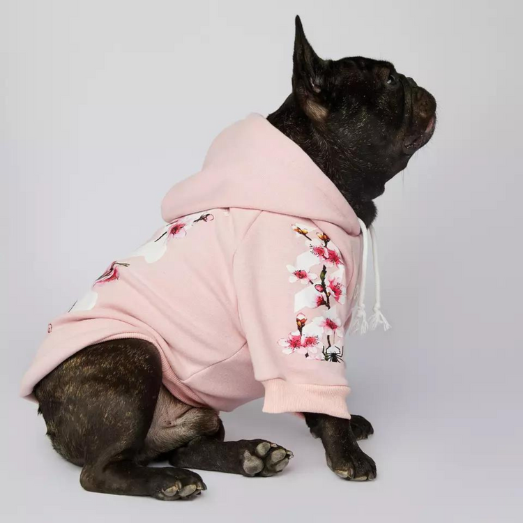 woof-hoodie_dogs-supreme_hundepullover_schwarz_drei