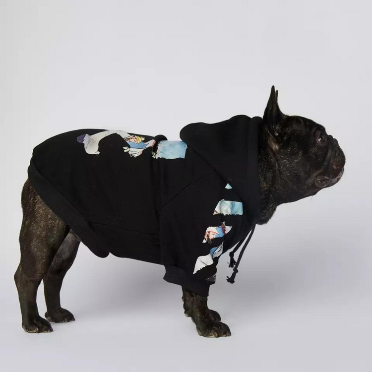 woof-hoodie_dogs-supreme_hundepullover_schwarz_eins