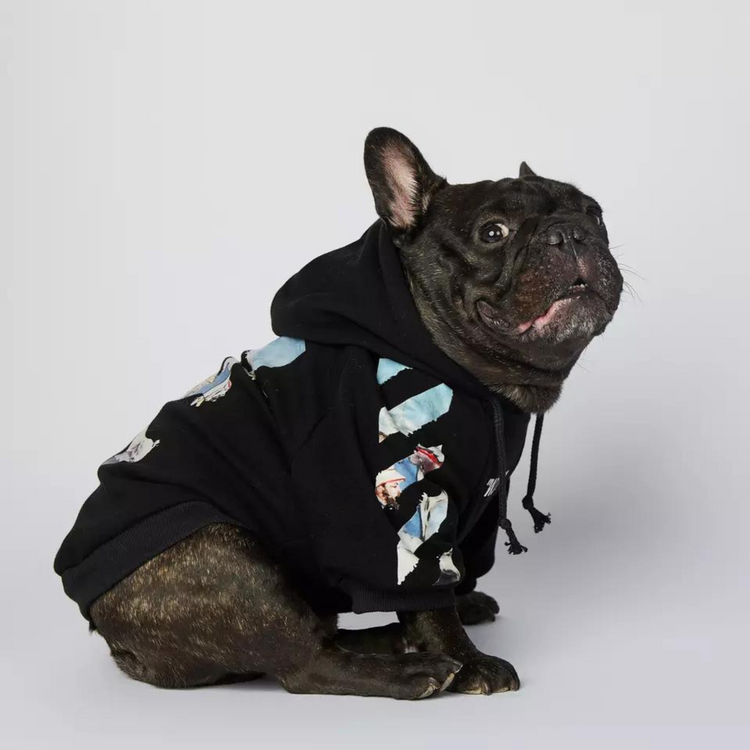 woof-hoodie_dogs-supreme_hundepullover_schwarz_eins