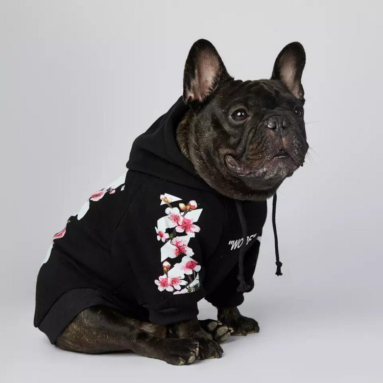 woof-hoodie_dogs-supreme_hundepullover_schwarz_zwei